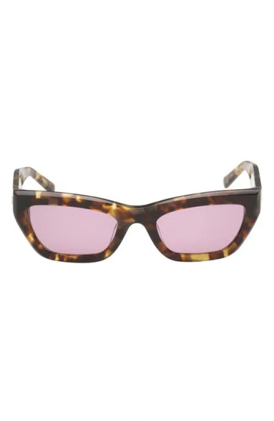Abercrombie & Fitch 52mm Cat Eye Sunglasses In Brown