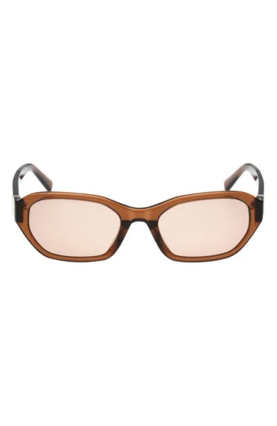 Abercrombie & Fitch 52mm Oval Sunglasses In Brown