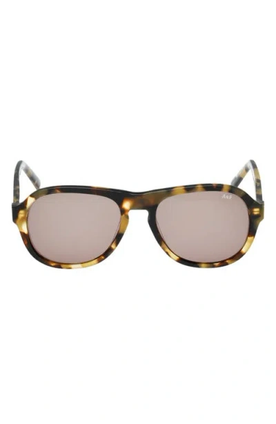 Abercrombie & Fitch 55mm Oval Sunglasses In Brown