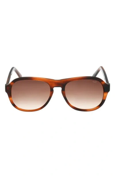 Abercrombie & Fitch 55mm Oval Sunglasses In Brown