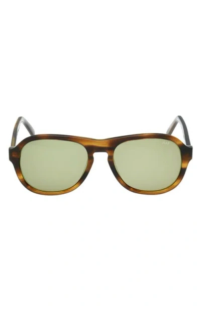 Abercrombie & Fitch 55mm Oval Sunglasses In Green