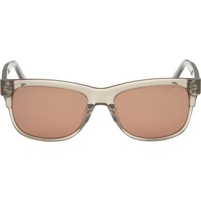 Abercrombie & Fitch 55mm Square Sunglasses In Brown