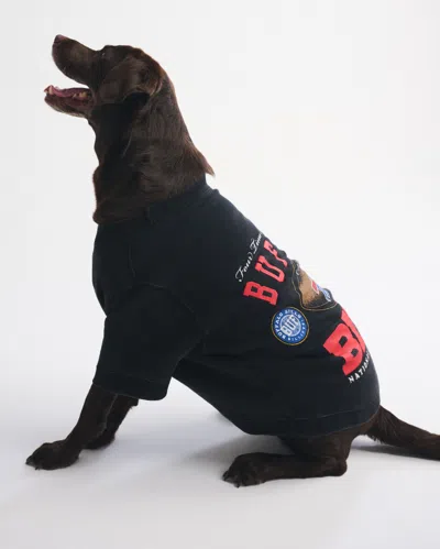 Abercrombie & Fitch Buffalo Bills Pet Sweatshirt In Black