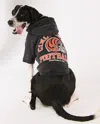 Abercrombie & Fitch Cincinnati Bengals Pet Pupover In Black