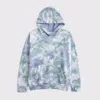 Abercrombie & Fitch Essential Icon Hoodie In Multi
