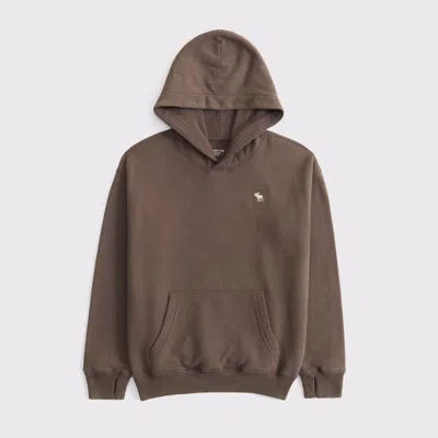 Abercrombie & Fitch Kids' Essential Icon Hoodie In Brown
