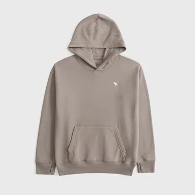 Abercrombie & Fitch Kids' Essential Icon Hoodie In Brown