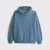 Abercrombie & Fitch Essential Popover Hoodie In Blue