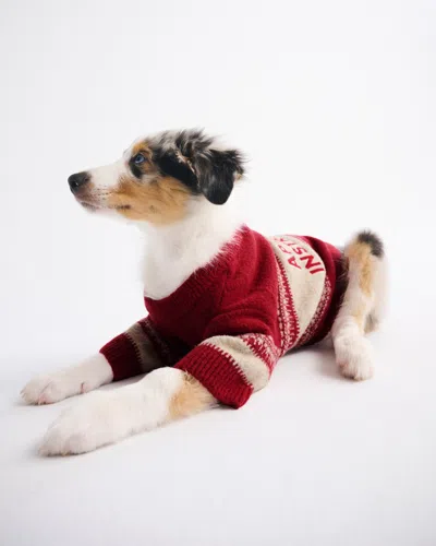 Abercrombie & Fitch Graphic Pet Sweater In Red