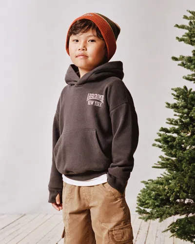 Abercrombie & Fitch Kids' Logo Popover Hoodie In Brown