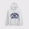 Abercrombie & Fitch Logo Popover Hoodie In Gray
