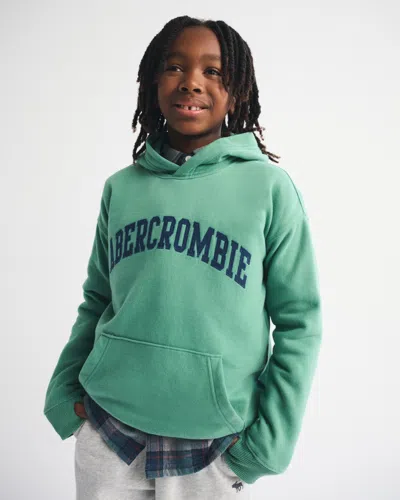 Abercrombie & Fitch Kids' Logo Popover Hoodie In Green