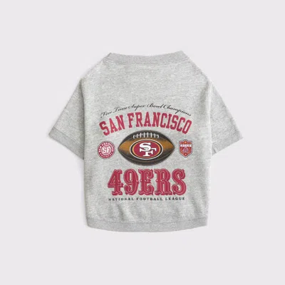 Abercrombie & Fitch San Francisco 49ers Pet Sweatshirt In Gray