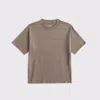 Abercrombie & Fitch Yoke Tee In Brown
