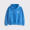Abercrombie & Fitch Ypb Neoknit Max Popover In Blue