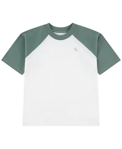 Abercrombie Kids' Boys' 5-16 Short-sleeve T-shirt In Green