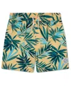 Abercrombie Kids' Boys' 5-8 Printed Swim Trunks In Multi