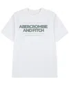 Abercrombie Boys Cinder Block T-shirt In White