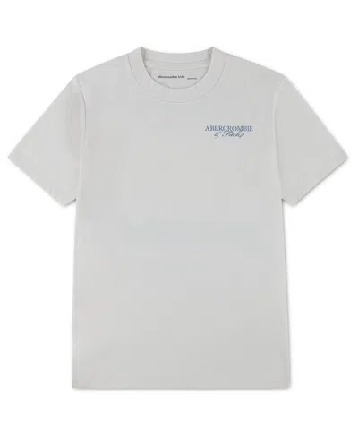 Abercrombie Kids' Boys' Crewneck Auto Club T-shirt In Gray