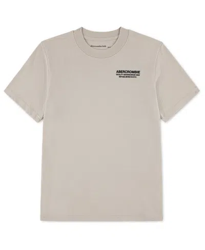 Abercrombie Kids' Boys' Crewneck Bank Shot T-shirt In Brown