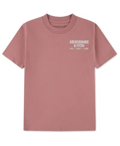 Abercrombie Kids' Boys' Crewneck Nyc Est 1892 Logo T-shirt In Brown