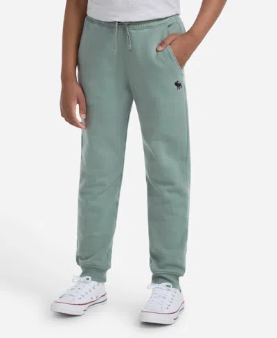 Abercrombie Kids' Boys Essential Fleece Jogger Pants In Green