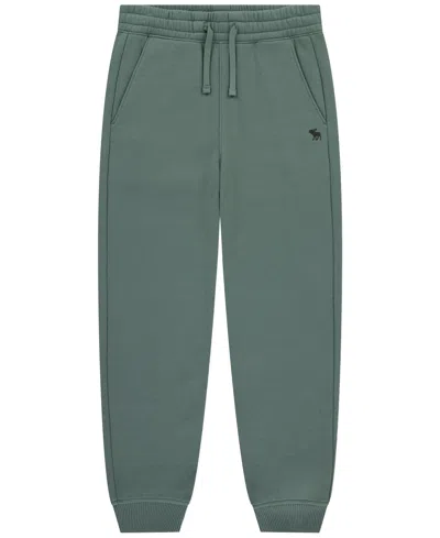 Abercrombie Kids' Boys Essential Fleece Jogger Pants In Green