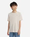Abercrombie Kids' Boys Essential T-shirt In Gray