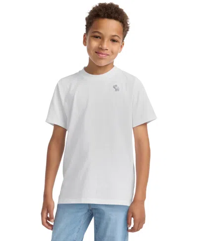 ABERCROMBIE BOYS ESSENTIAL T-SHIRT