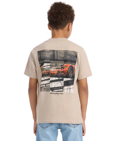 Abercrombie Kids' Boys Exotic Ride T-shirt In Brown
