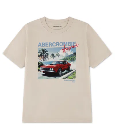 Abercrombie Kids Kids' Hawaii Race Graphic T-shirt In Gray