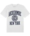 Abercrombie Boys Ivy League T-shirt In White