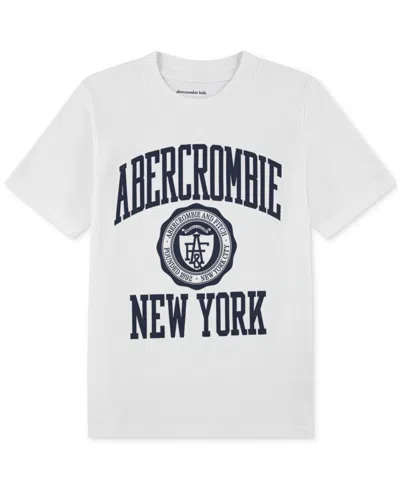 Abercrombie Kids' Boys Ivy League T-shirt In White