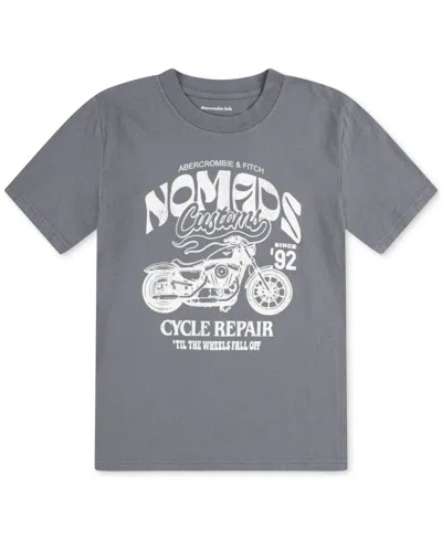 Abercrombie Kids' Boys Nomads T-shirt In Gray