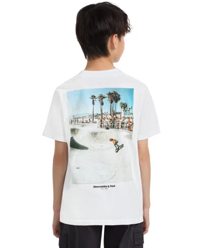 Abercrombie Kids' Boys Skate Park T-shirt In White