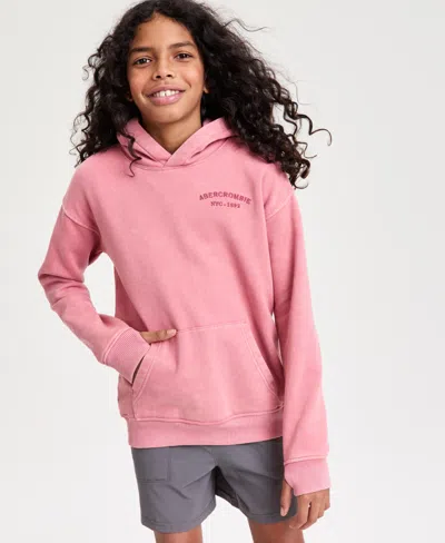 Abercrombie Kids' Boys' Sunfaded Pullover Hoodie In Pink