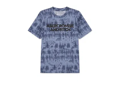 Abercrombie Cinder Block T-shirts (big Kid) Boy's T Shirt Castlerock : 9-10 (big Kids), Cotton/polyester In Blue