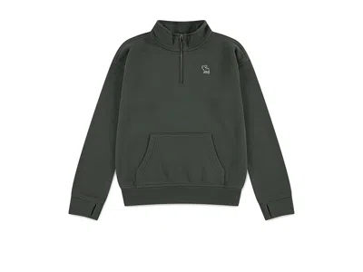 Abercrombie Essentials Quarter Zip (big Kid) Boy's Sweatshirt Thyme : 7-8 (big Kids), Cotton/polyester In Green