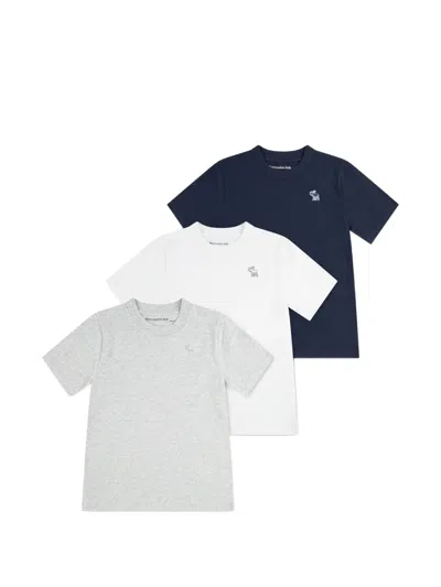 Abercrombie Fitch Kids' Embroidered T-shirt (set Of Three) In Multi