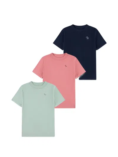 Abercrombie Fitch Kids' Embroidered T-shirts Set Of Three In Green