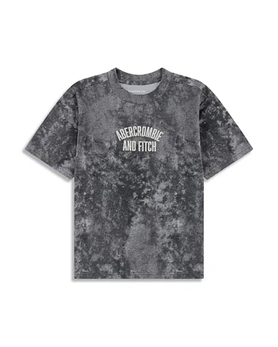 Abercrombie Kids Boys' Arched Embroidery Tee - Big Kid In Gray