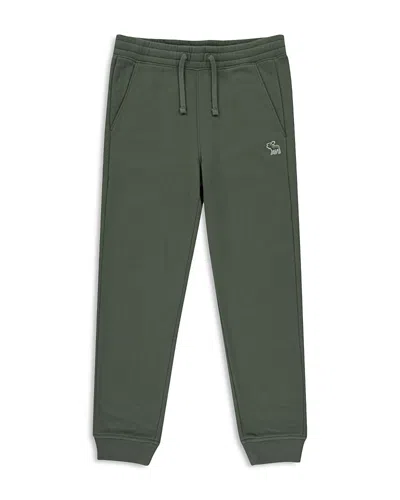 Abercrombie Kids Boys' Essential Fleece Jogger Pants - Little Kid, Big Kid In Green