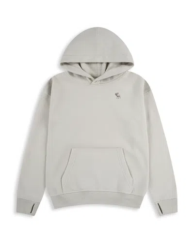 ABERCROMBIE ABERCROMBIE KIDS BOYS' ESSENTIAL FLEECE PULLOVER HOODIE - LITTLE KID, BIG KID