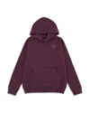 Abercrombie Boys Essential Fleece Pullover Hoodie In Purple