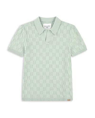 Abercrombie Kids Boys' Johnny Collar Swolo Polo - Big Kid In Green