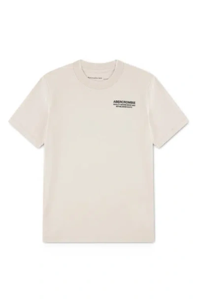 Abercrombie Kids Kids' Bank Shot Graphic T-shirt In Brown
