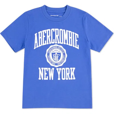 Abercrombie Kids Kids' Collegiate Tee In Blue