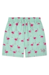Abercrombie Kids Kids' Core Swim Trunks In Blue