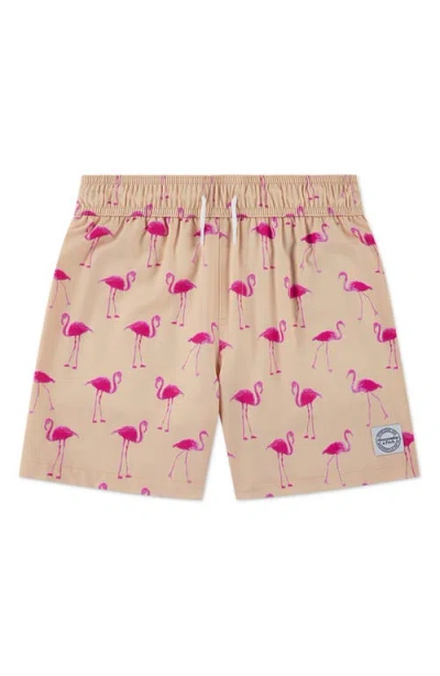 Abercrombie Kids Kids' Core Swim Trunks In Nude