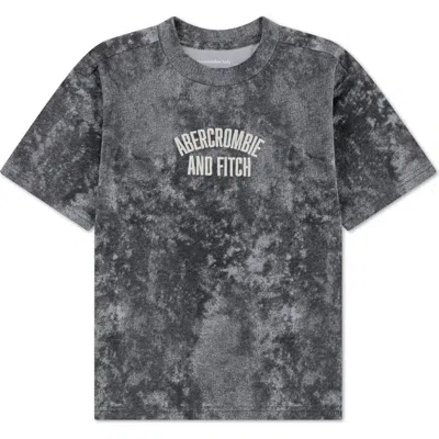 Abercrombie Kids Kids' Embroidery Arch T-shirt In Gray